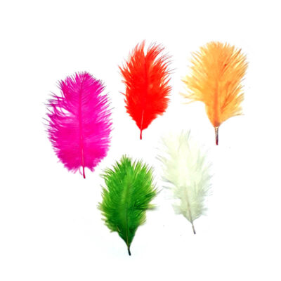 Pena de Avestruz - Corpo(25 pçs aprox.)