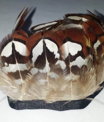 Pena Faisão Reeves - Corpo (25 penas)