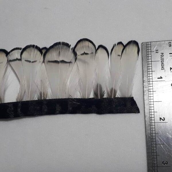 Pena Faisão Lady - Corpo (15 penas) - Imagem 6