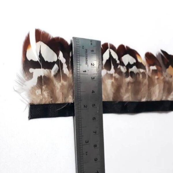 Pena Faisão Reeves - Corpo (25 penas) - Imagem 3