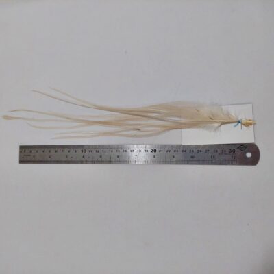 Pena Saddle(Costas de Galo) Pro Grade Branco