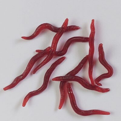 Minhoca Latex / Silicone