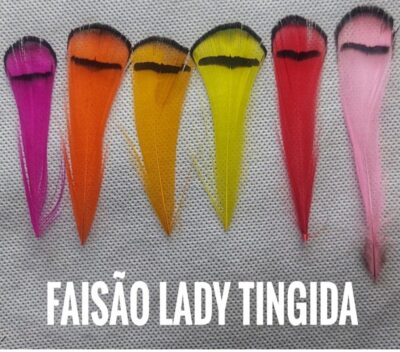 Pena de Faisão Lady - pescoço (20 penas aprox.)