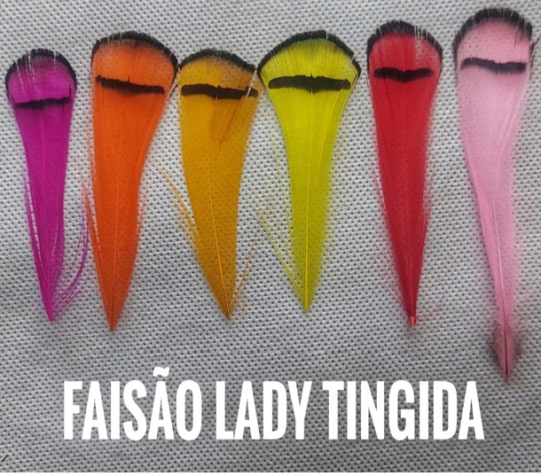 betinho-oliveira-pena-faisão-lady Pena de Faisão Lady - pescoço (20 penas aprox.) - Imagem 1